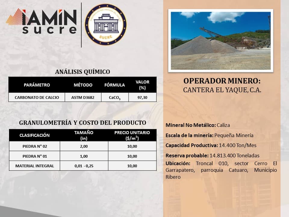 Ficha de operador minero 2 — Portafolio de Negocio